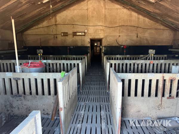 Grisestier med beton inventar og foderautomater 8 styk