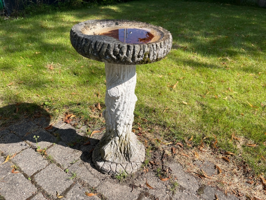 Fuglebad