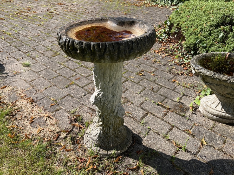 Fuglebad