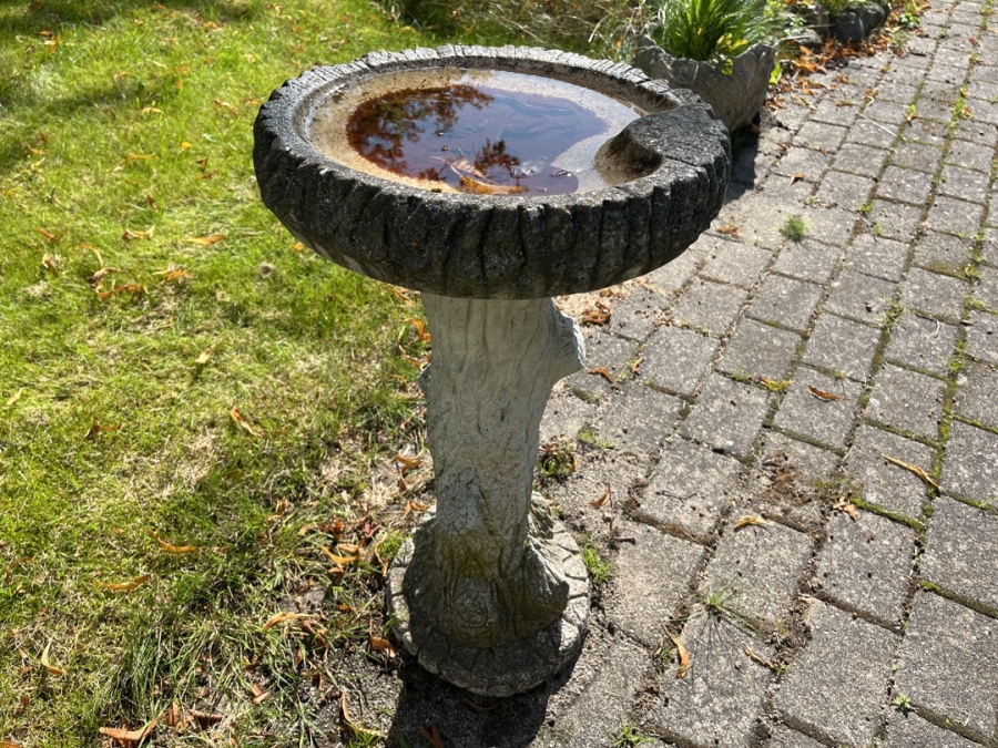 Fuglebad
