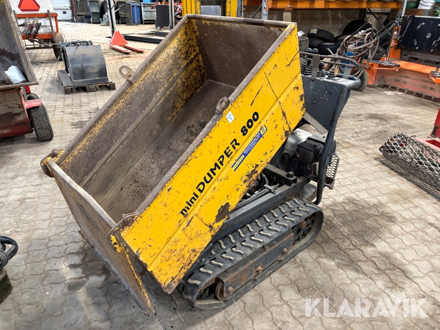 Minidumper Fiori Dumpy 800