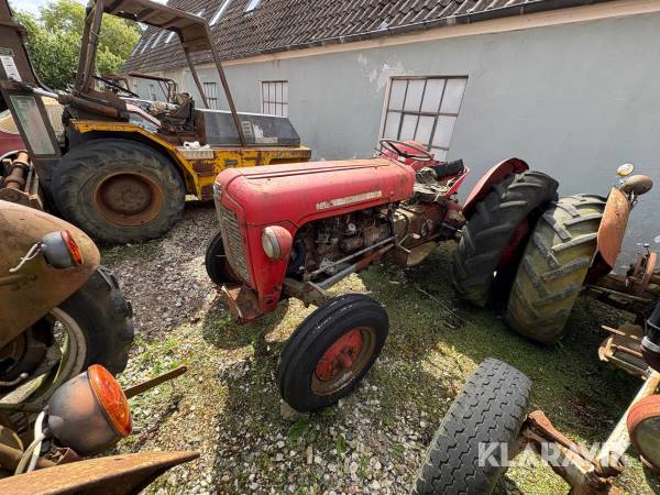 Veterantraktor Massey-Ferguson