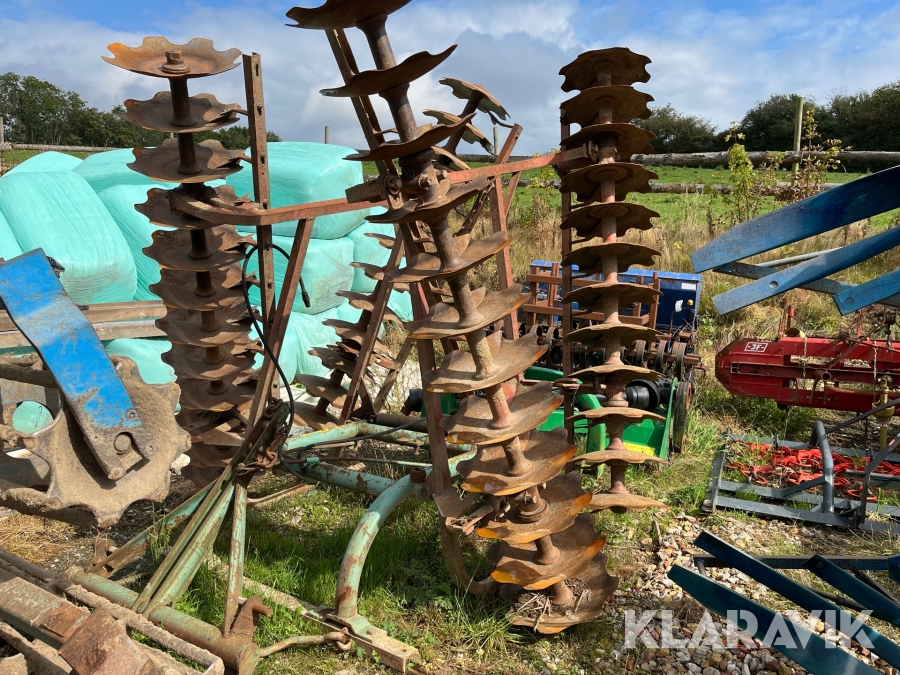 Tallerkenharve Skålsvans