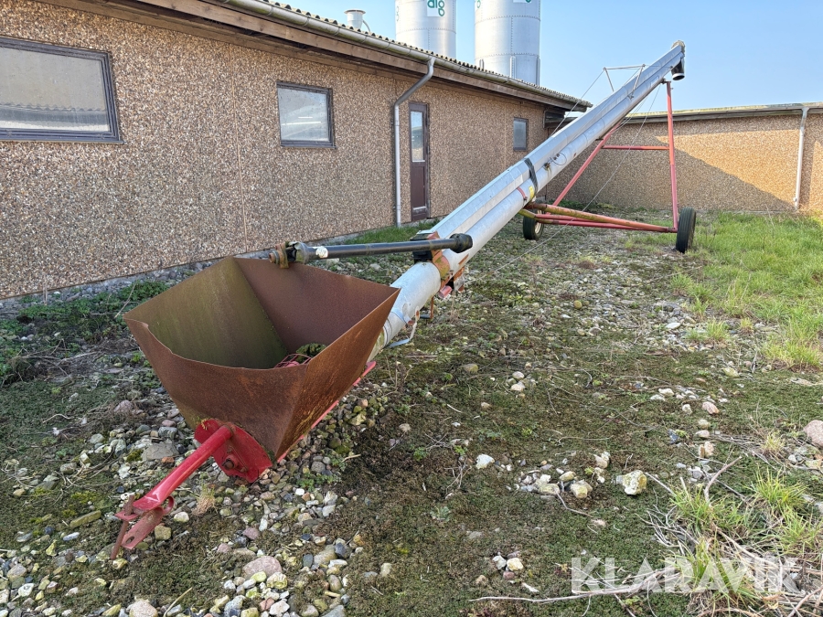 Kornsnegl Hutchinson