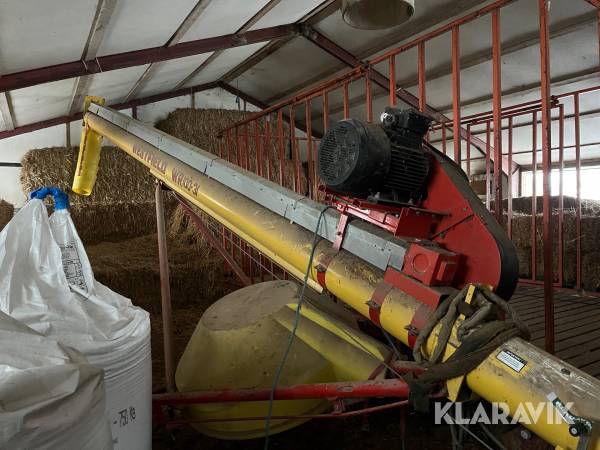 Kornsnegl Westfield WR100-31