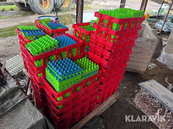 Plast æggebakker og kasser