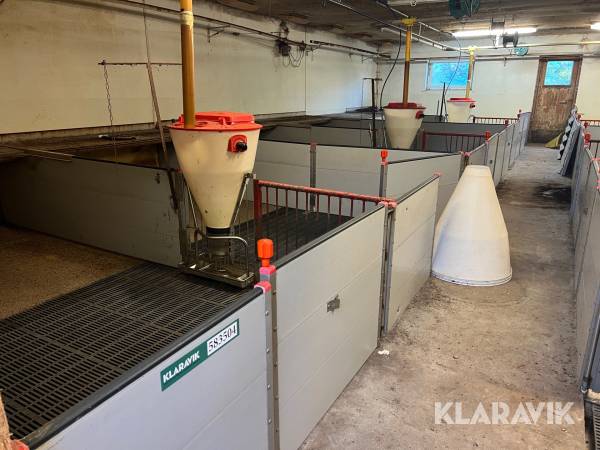 grisestier Skiold echberg 36 styk
