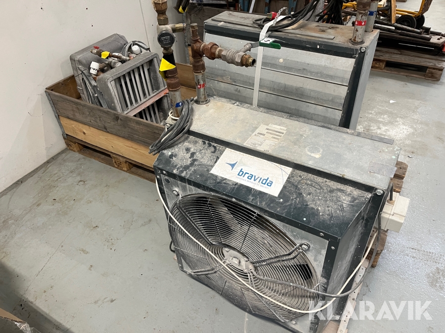 Kaloiferer Gea og Sonniger 4 styk