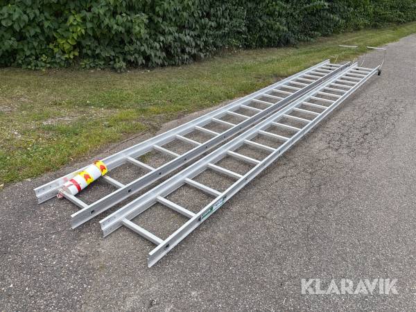 Stiger tagrygstiger Jumbo