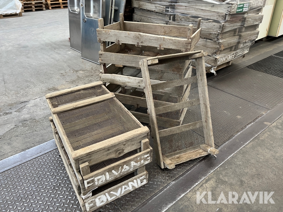 Blomsterkasser Træ med net 10 styk