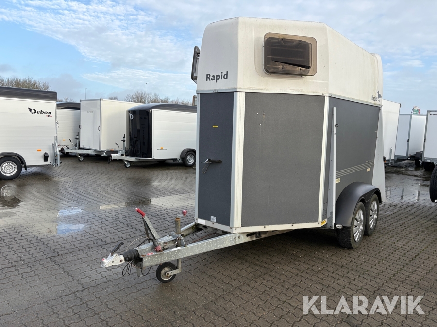 Hestetrailer Humbaur Rapid