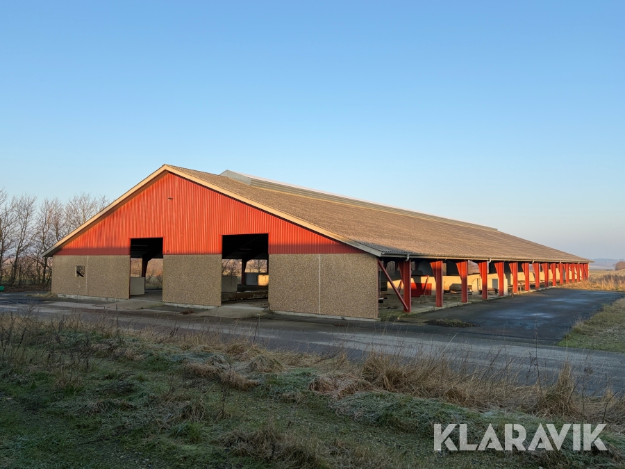 Hal 28,1 x 66,6 meter