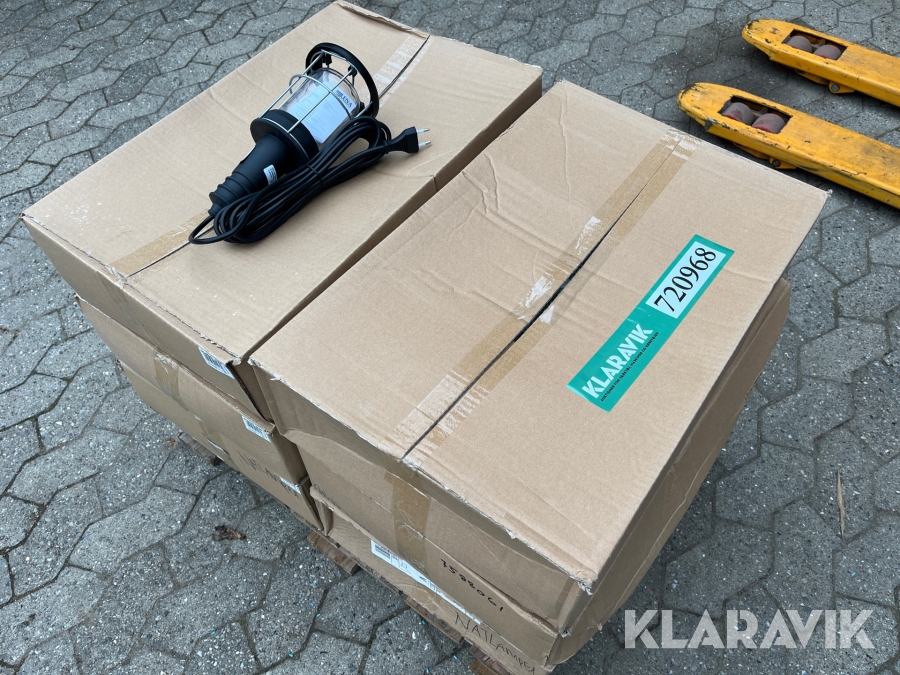 Håndlampe Malmbergs 60 styk