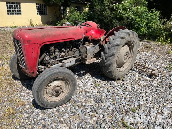 Veterantraktor Massey Ferguson 35