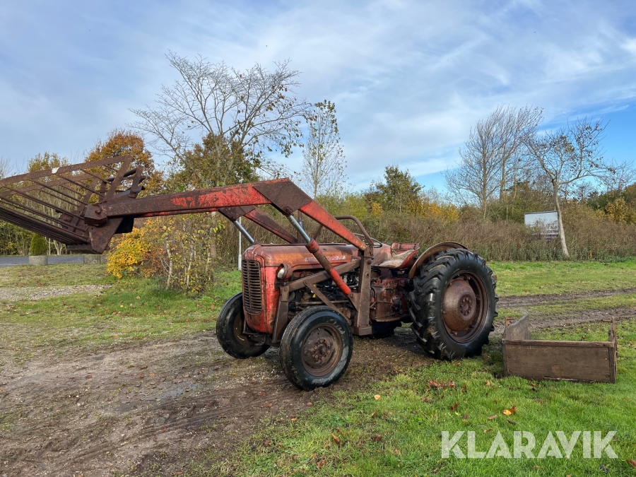 Veterantraktor Massey-Ferguson 35