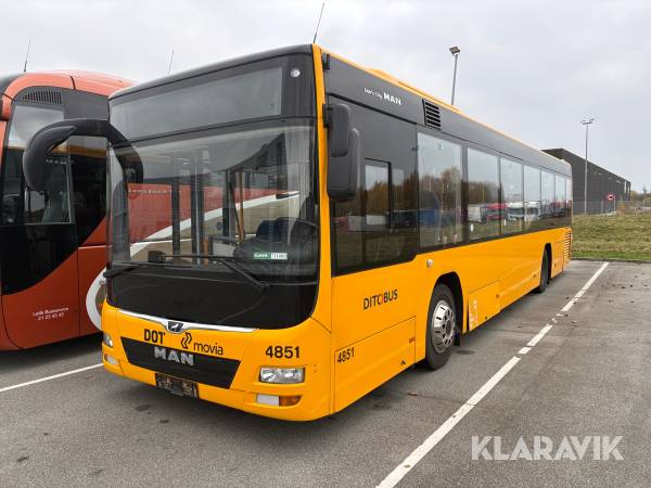 Bus MAN Lion