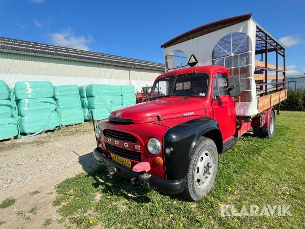 Veteranlastbil Dodge D 203 L