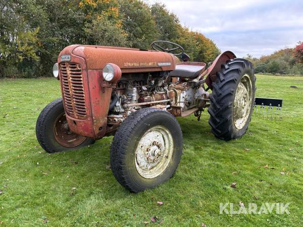 Veteran Traktor Massey Ferguson 35 Guldfugl med aflæsservogn og plov