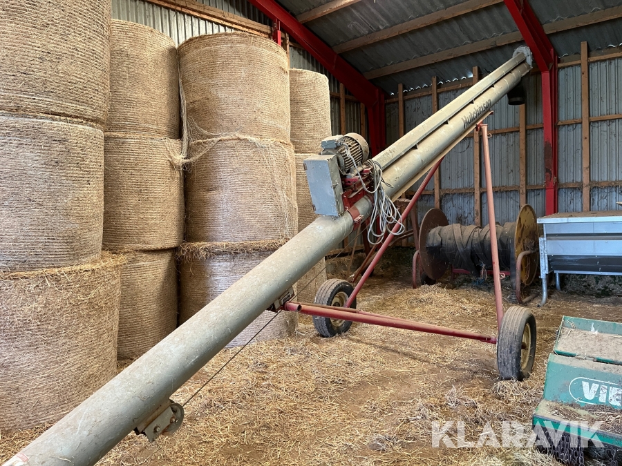 Kornsnegl Hutchinson