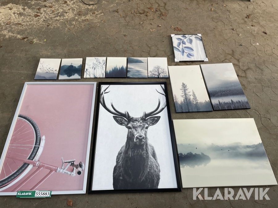 Malerier 12 stk.