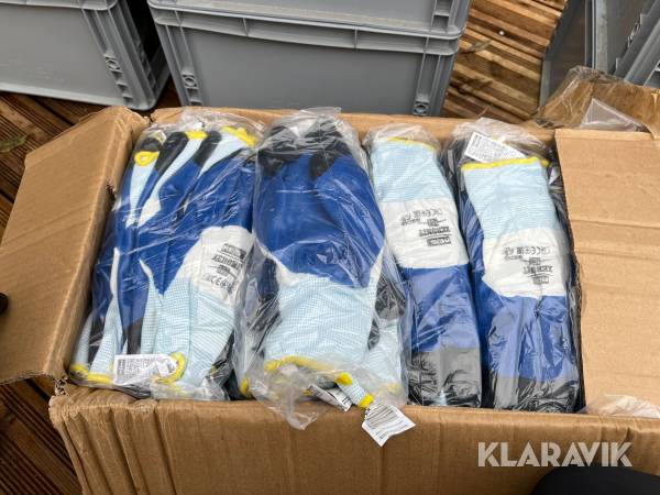 Arbejdshandsker Winter Draco 1 kasse (120par)