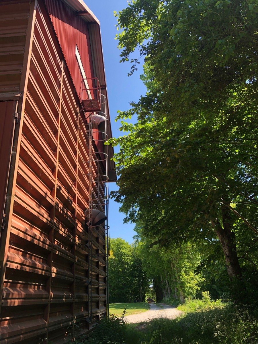 Tørreri
