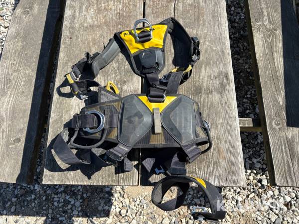 Sele Petzel Volt Wind