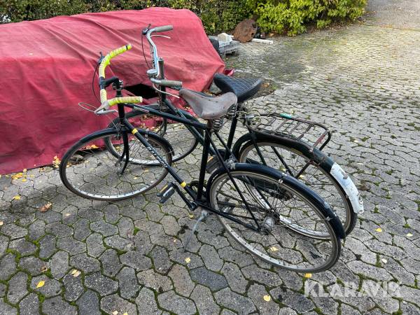 Cykler Raleigh 2 styk