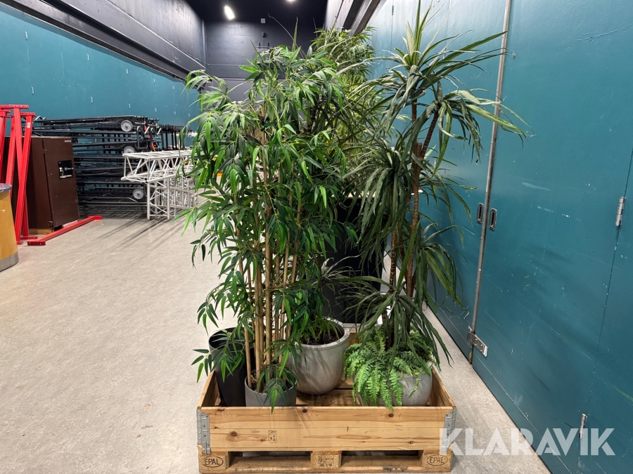 Eventborde med planteindsats 