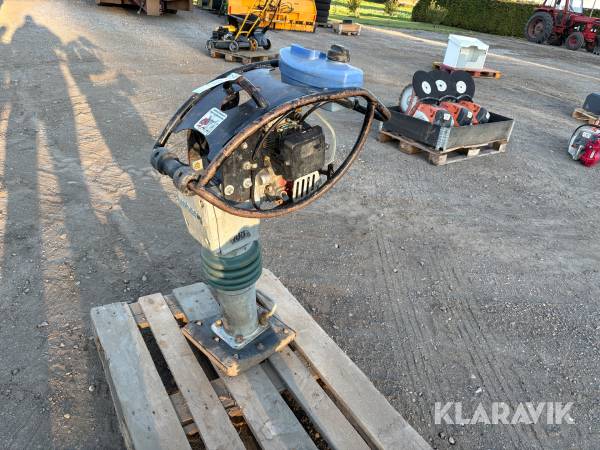 Jordloppe Weber Sr/62