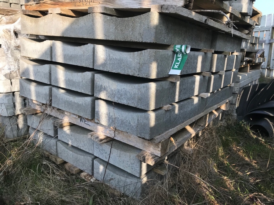 Parti med vandrender