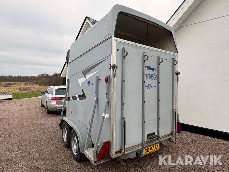 Hestetrailer Maro Selandia