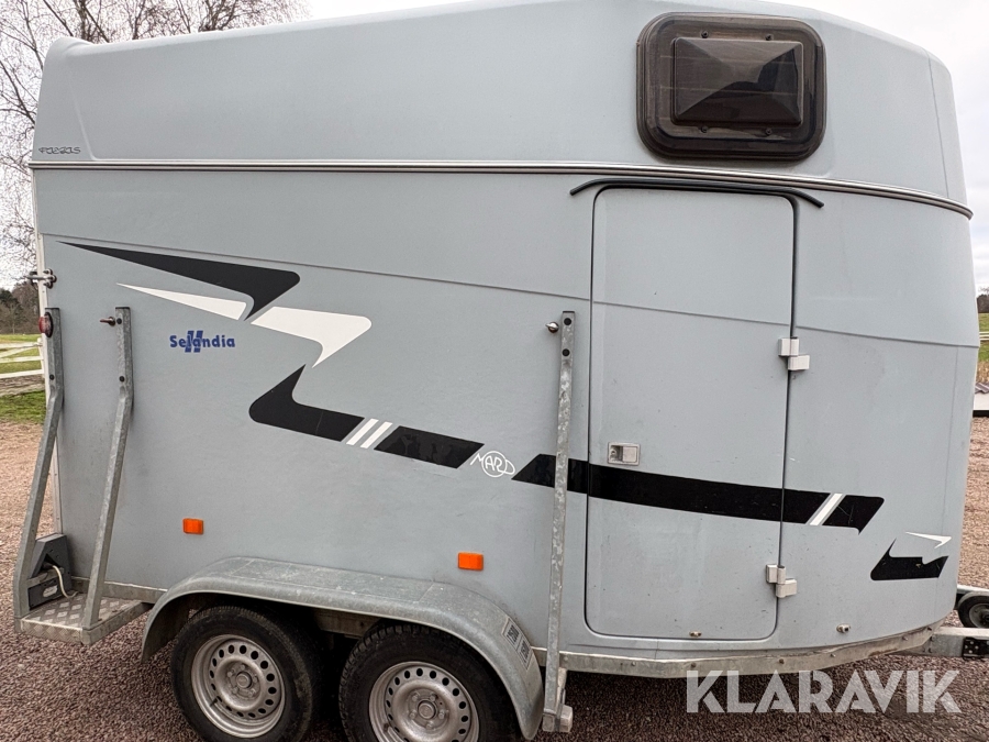 Hestetrailer Maro Selandia