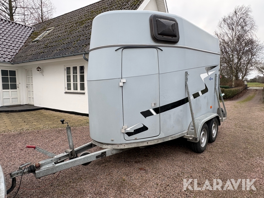 Hestetrailer Maro Selandia