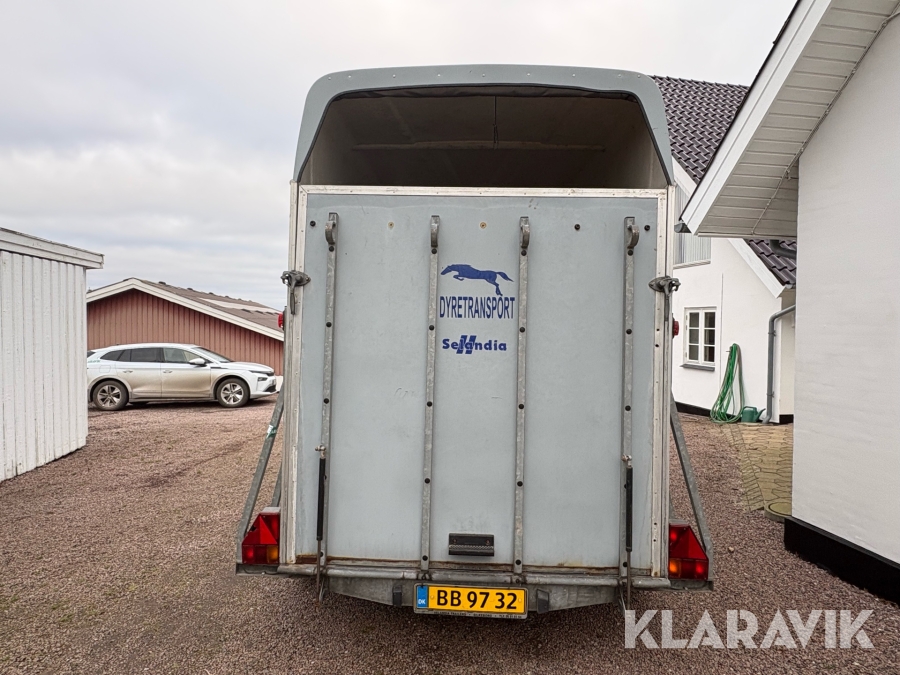 Hestetrailer Maro Selandia