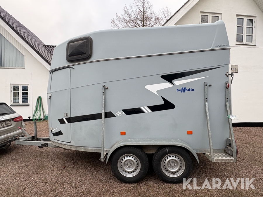 Hestetrailer Maro Selandia