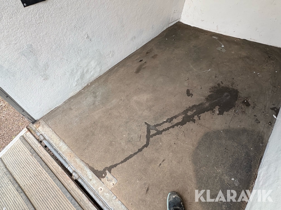 Hestetrailer Maro Selandia