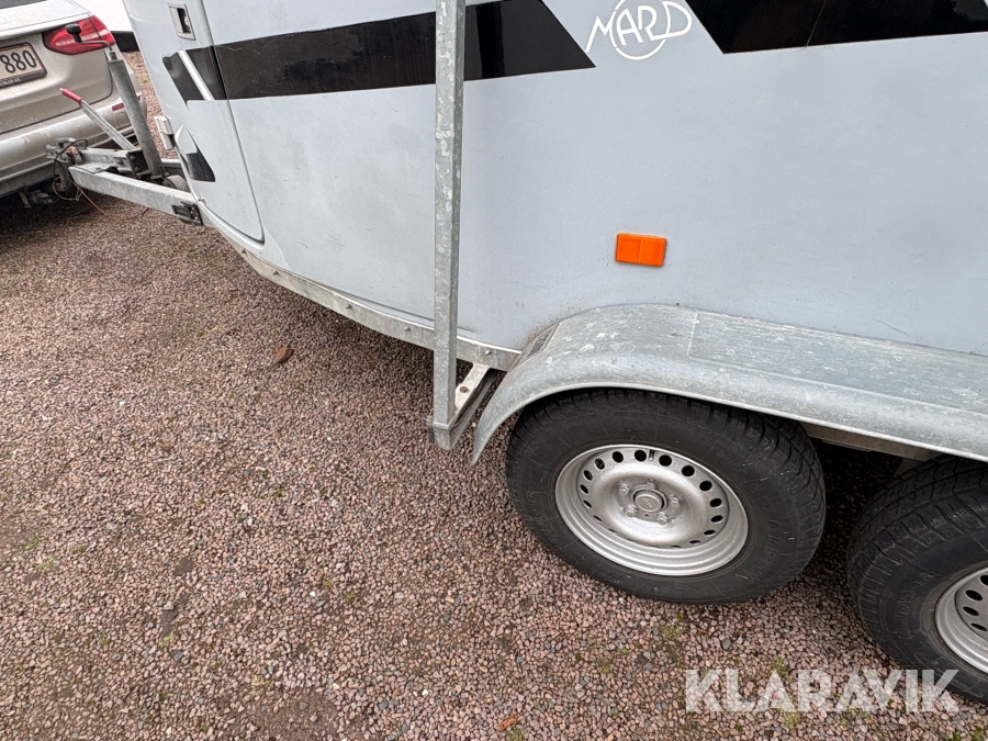 Hestetrailer Maro Selandia